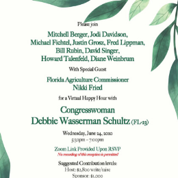Kelley Kronenberg Presents: Virtual Happy Hour Fundraiser Campaign for Congresswoman Debbie Wasserman Schultz (Fl-23)