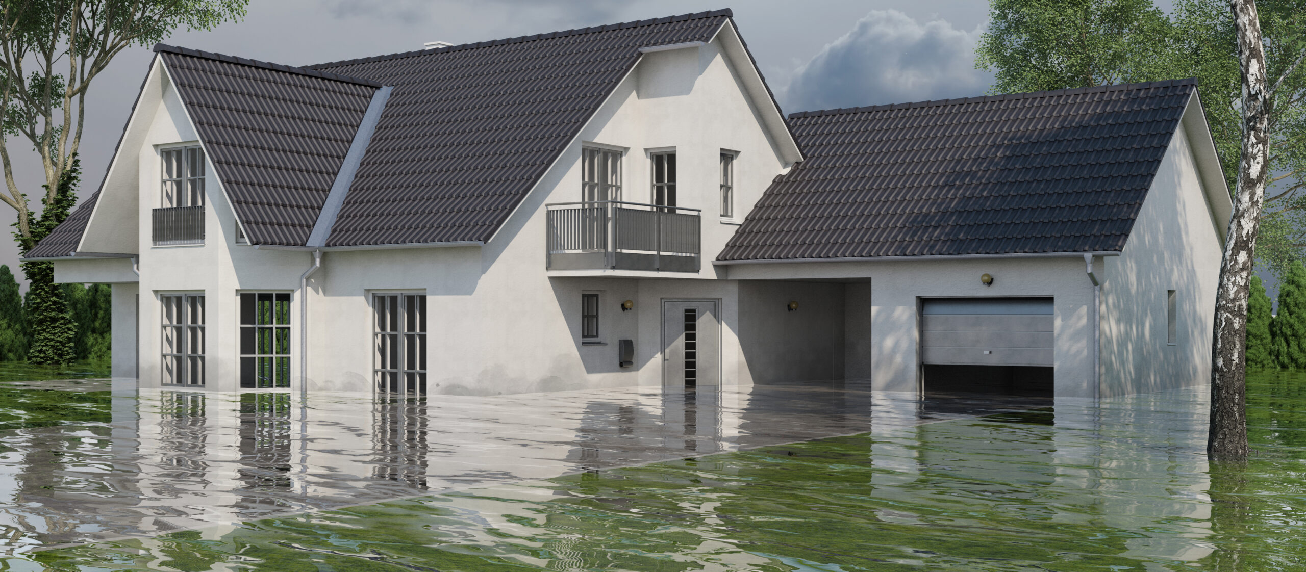 National Flood Insurance Program Litigation