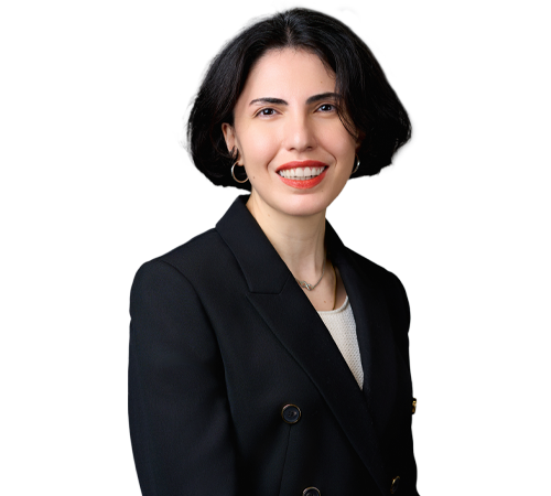 Rusudan Tchitashvili Attorney Profile | Kelley Kronenberg